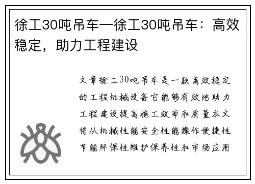 徐工30吨吊车—徐工30吨吊车：高效稳定，助力工程建设