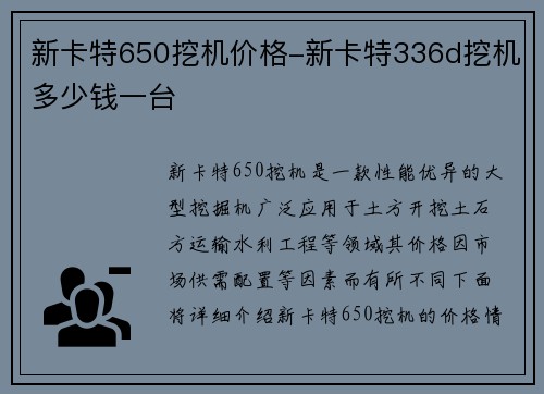 新卡特650挖机价格-新卡特336d挖机多少钱一台
